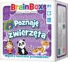 obrazek BrainBox - Poznaję zwierzęta 