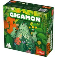 logo przedmiotu Gigamon